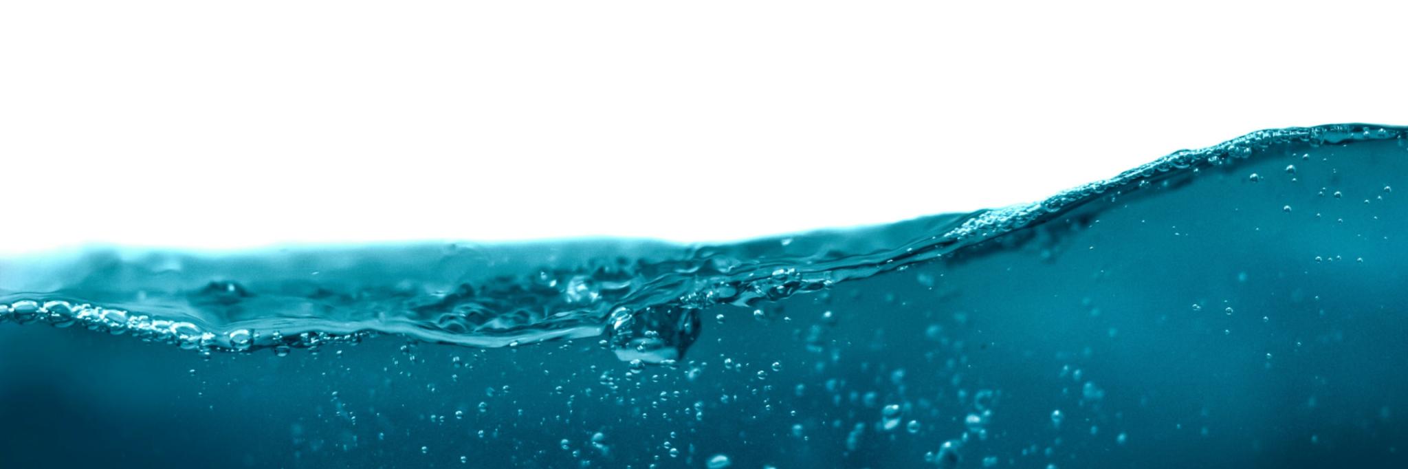Daniel Sinoca (Unsplash)