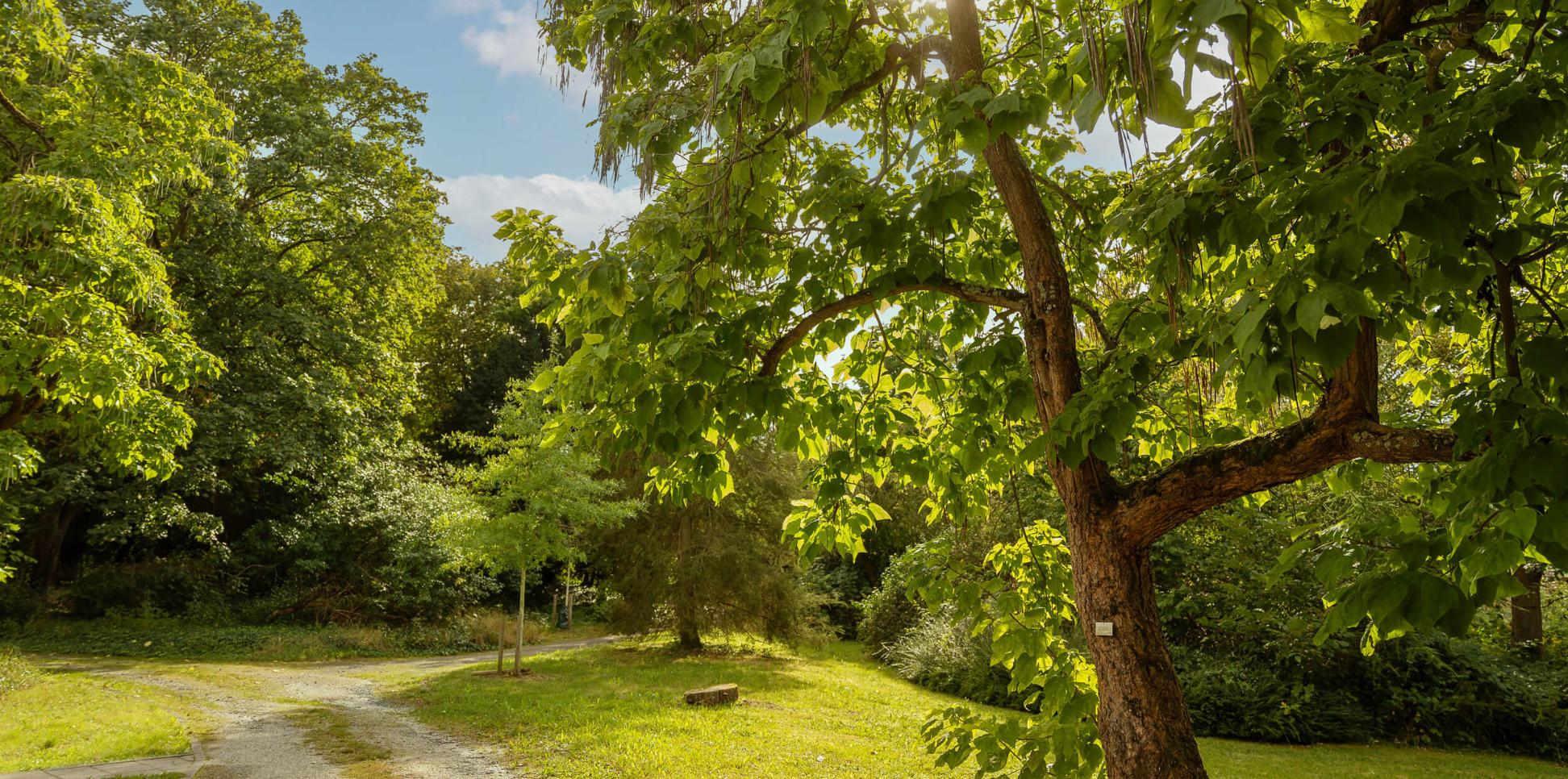 Zukunftswerkstatt-Frankfurt_Park_Sankt-Georgen