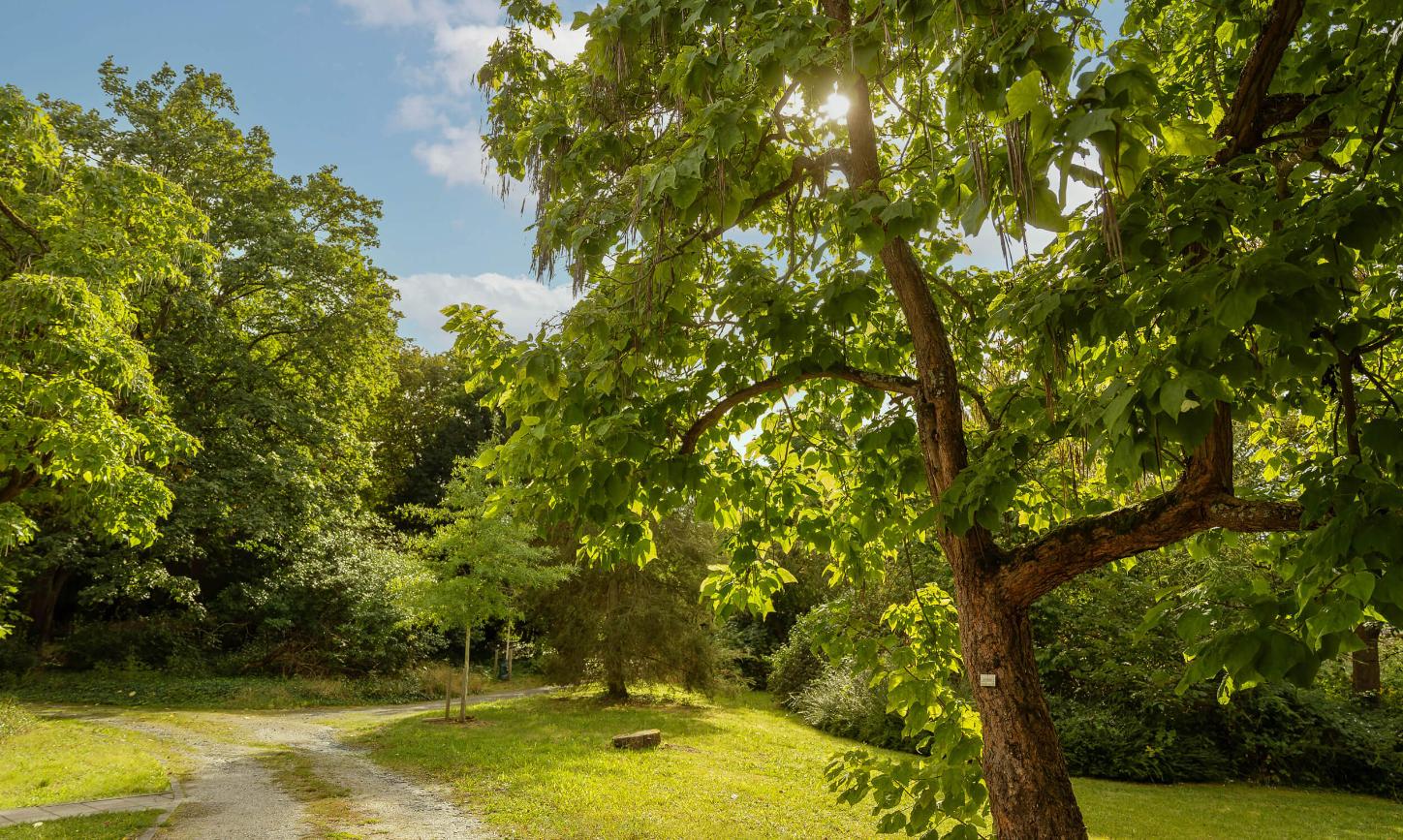 Zukunftswerkstatt-Frankfurt_Park_Sankt-Georgen