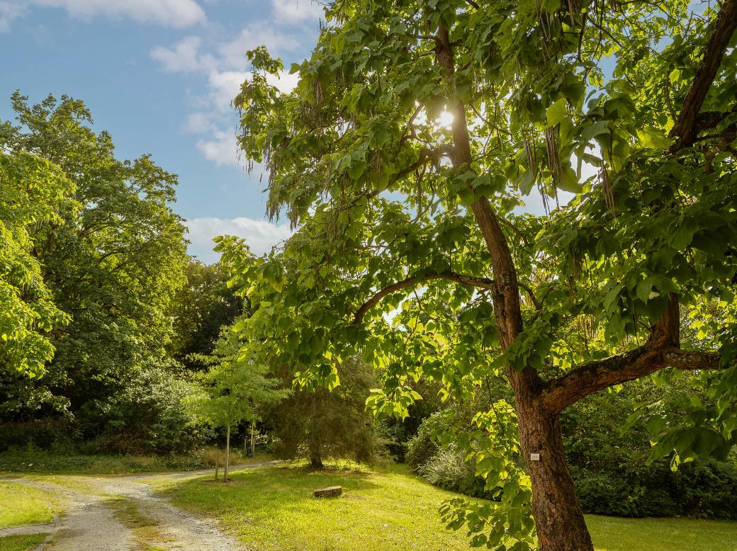 Zukunftswerkstatt-Frankfurt_Park_Sankt-Georgen