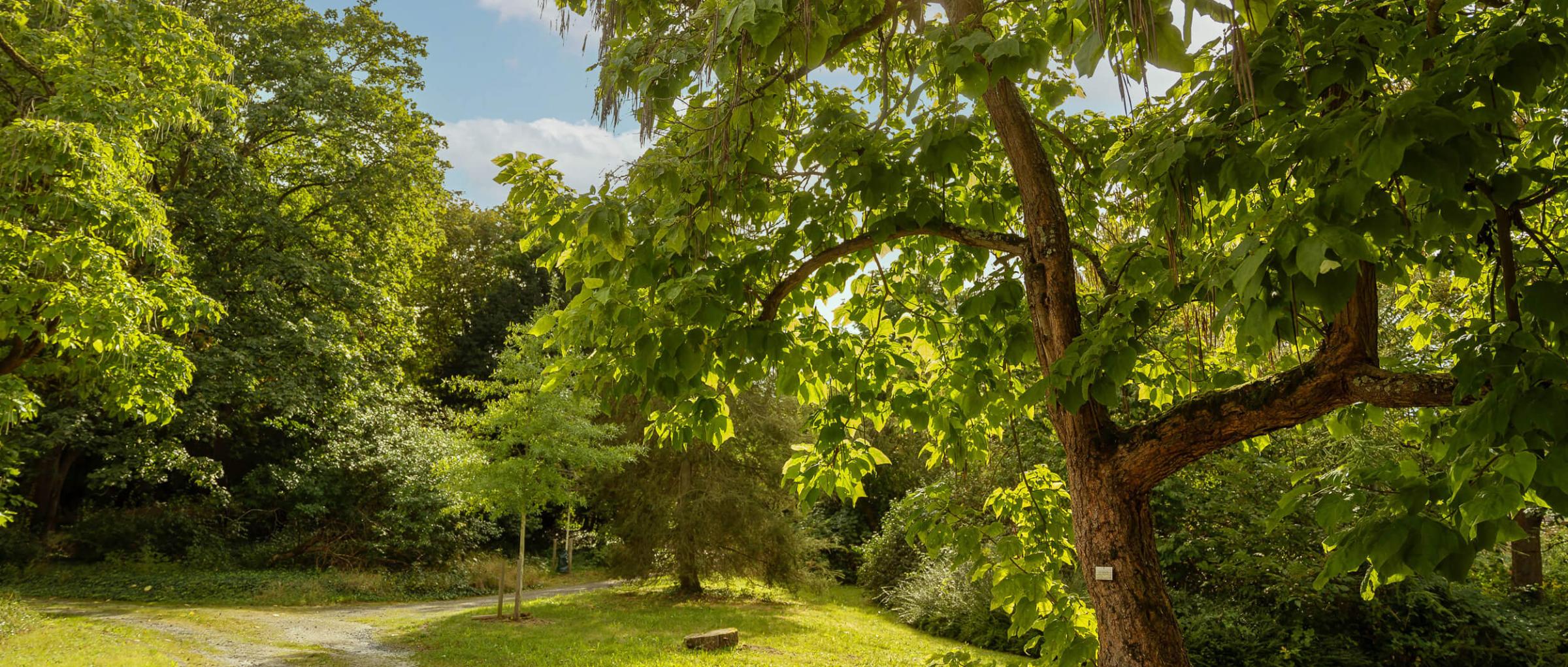 Zukunftswerkstatt-Frankfurt_Park_Sankt-Georgen