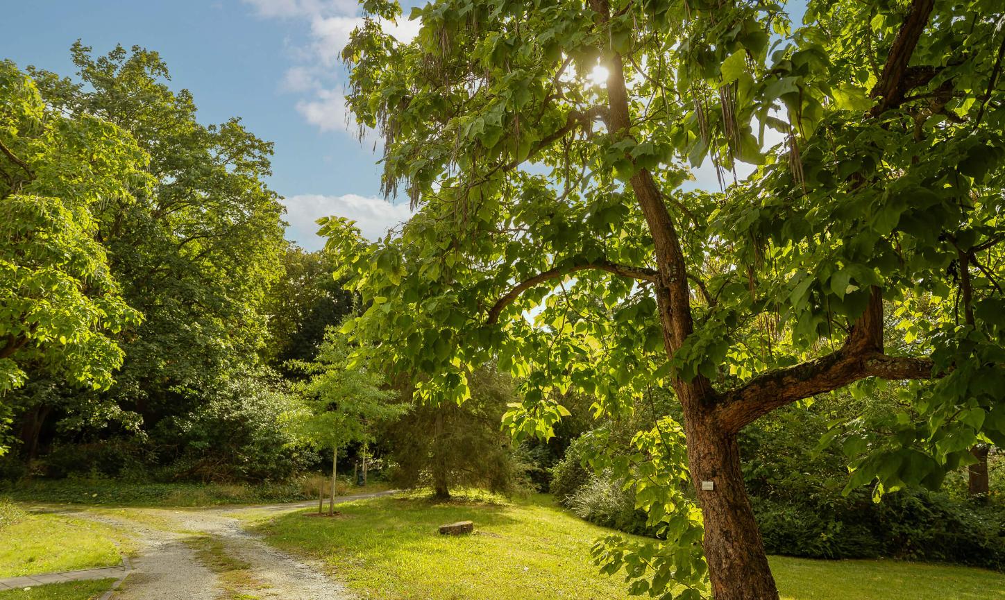 Zukunftswerkstatt-Frankfurt_Park_Sankt-Georgen
