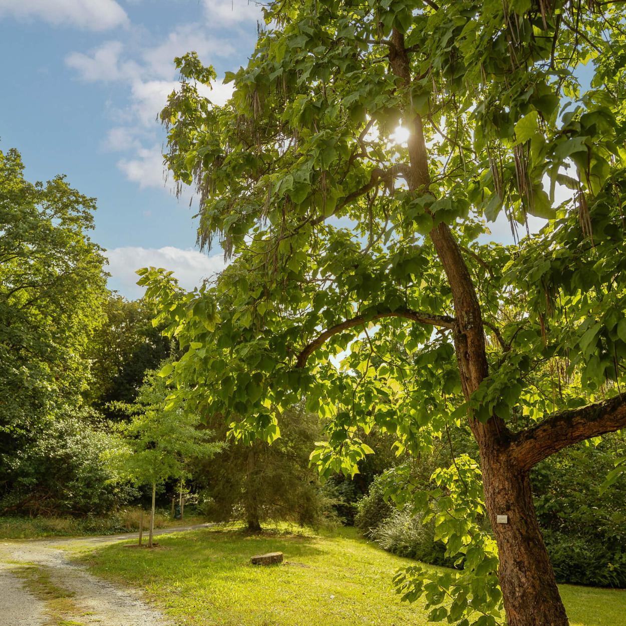 Zukunftswerkstatt-Frankfurt_Park_Sankt-Georgen