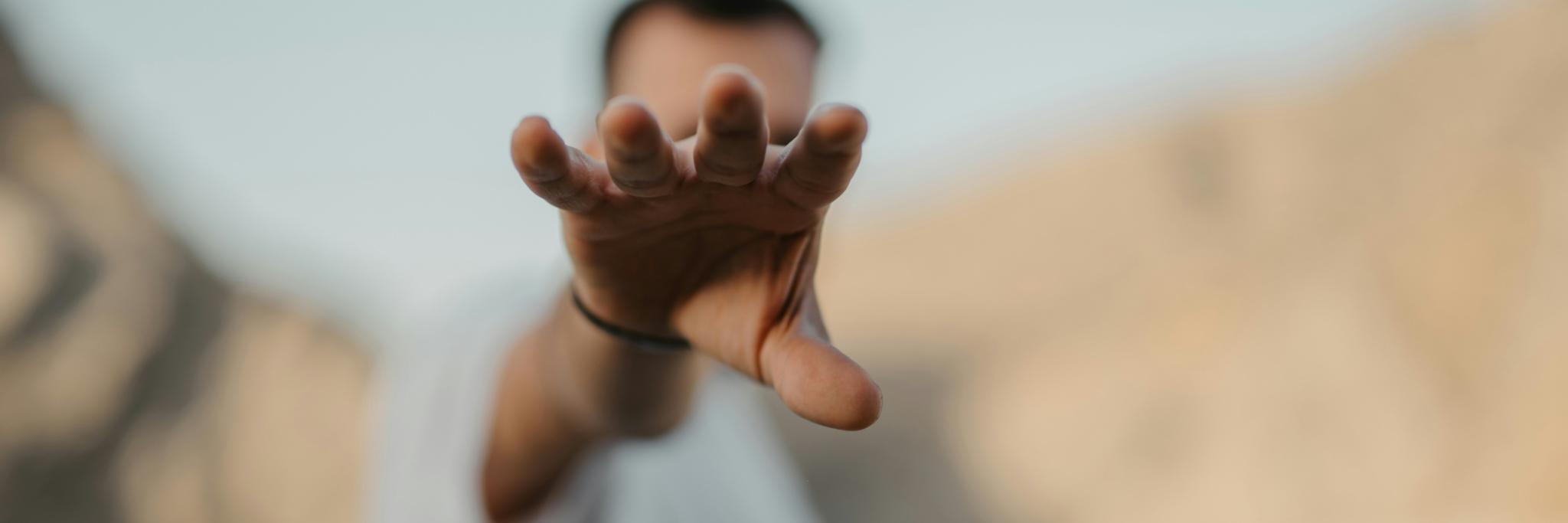 aranprime (Unsplash)